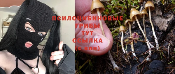 PSILOCYBIN Верхнеуральск